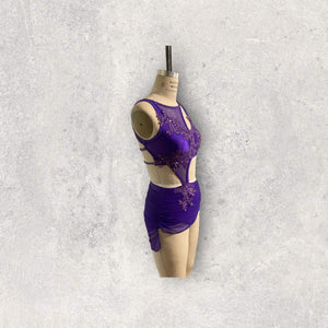 Custom Dance costume, dance competition, purple mesh over purple spandex dress with appliques and crystals