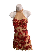 Load image into Gallery viewer, Custom made costume for Ellie, mesh dress with red appliques
