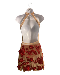 Custom made costume for Ellie, mesh dress with red appliques